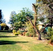 Condamine River Caravan Park - Tourism Gold Coast