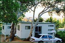 Cooma Snowy Mountains Tourist Park - Tourism Gold Coast 0