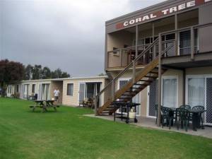 Coral Tree Lodge Tourist Park - Tourism Gold Coast 3