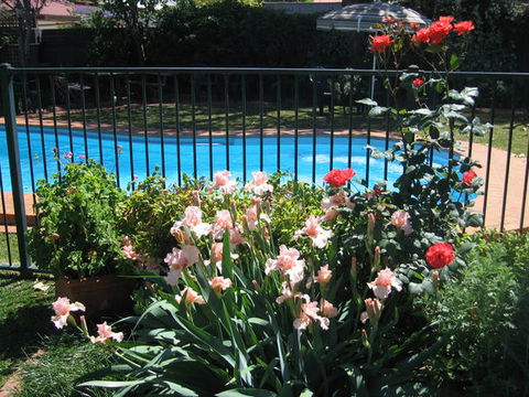 Country Apartments - Gold Coast 4