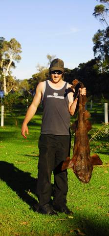 Denmark Rivermouth Caravan Park - Tourism Gold Coast 4