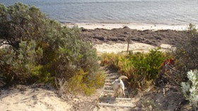 WindSong Beach House - Tourism Gold Coast 0