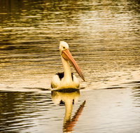 River Shack Rentals - Brenda Park - Tourism Gold Coast