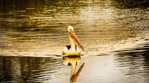 River Shack Rentals - Brenda Park - Tourism Gold Coast 0