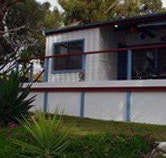 Seagulls Wrest Point - Tourism Gold Coast