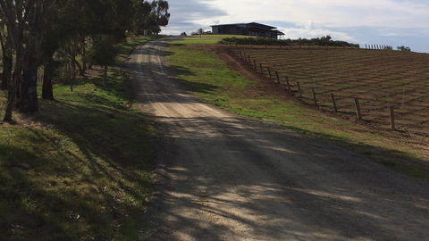 Gullyview Vineyards Retreat - Tourism Gold Coast 0