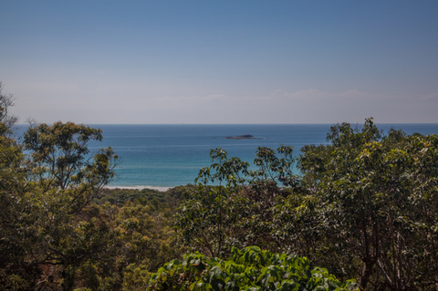 Grass Trees On Straddie - Tourism Gold Coast 4
