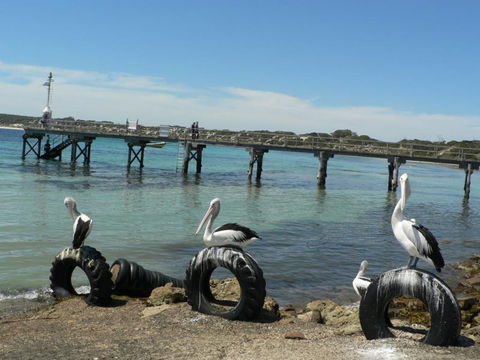 Fareview Beach House - Tourism Gold Coast 0