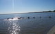 Discovery Holiday Parks - Lake Bonney - thumb 1