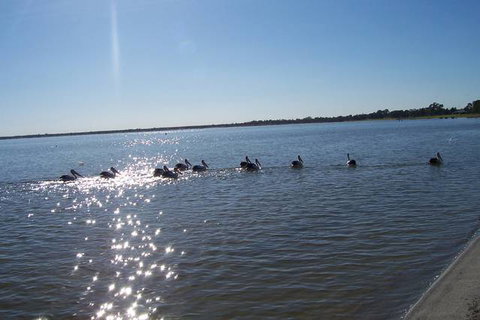 Discovery Holiday Parks - Lake Bonney - Tourism Gold Coast 1