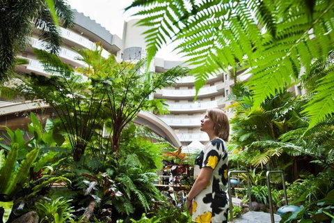 Double Tree - Tourism Gold Coast 3