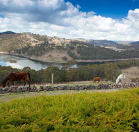 Eagle View Escape - Tourism Gold Coast