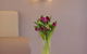 Easystay Studio Apartments - thumb 2