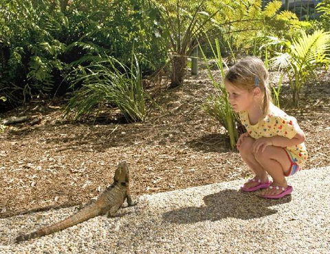 Flynns Beach Resort - Tourism Gold Coast 3