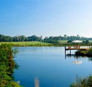 Forest Rise Eco Retreat - Tourism Gold Coast