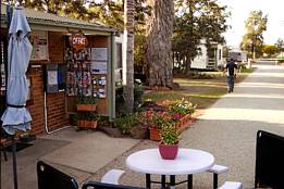 Griffith Caravan Village - Tourism Gold Coast 1