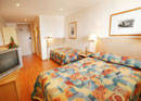 Haven Glebe, Sydney - Tourism Gold Coast 3