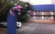 Huskisson Beach Motel - thumb 0