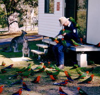 Inland Waters Holiday Parks Burrinjuck - Tourism Gold Coast