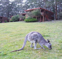 Jenolan Caves Cottages - Tourism Gold Coast