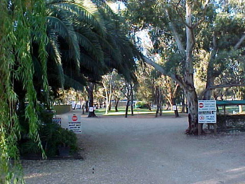 Kingston-On-Murray Caravan Park - Tourism Gold Coast 0