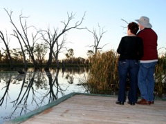 Kingston-On-Murray Caravan Park - Tourism Gold Coast 2
