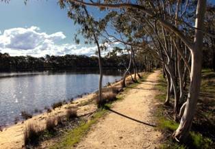 Kyneton Bushland Resort - Tourism Gold Coast 0