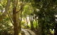 Maleny Terrace Cottages - thumb 3