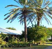 Merino Motor Inn - Tourism Gold Coast
