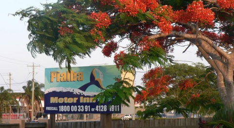 Pialba Motor Inn - Tourism Gold Coast 1