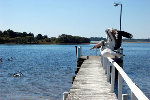 Moby Dick Waterfront Motel - Tourism Gold Coast 4