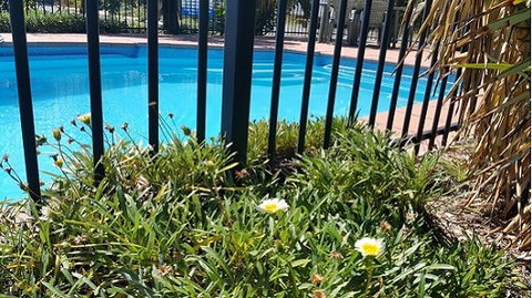 Motel Carnarvon - Tourism Gold Coast 6