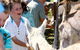 Mowbray Park Farm Stay - thumb 2