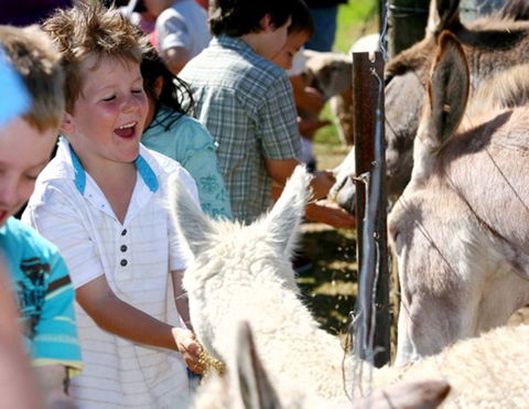 Mowbray Park Farm Stay - Tourism Gold Coast 2