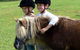 Mowbray Park Farm Stay - thumb 3