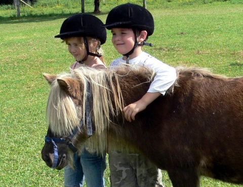 Mowbray Park Farm Stay - Tourism Gold Coast 3
