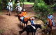 Mowbray Park Farm Stay - thumb 5