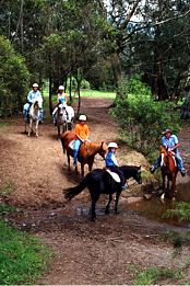 Mowbray Park Farm Stay - Tourism Gold Coast 5