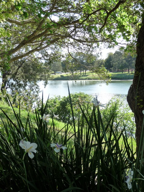 Netherby House - Tourism Gold Coast 6