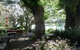 Netherby House - thumb 5