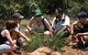 Nitmiluk Tours & Accommodation - thumb 0