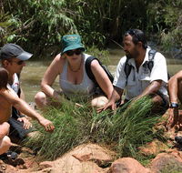 Nitmiluk Tours  Accommodation - Tourism Gold Coast