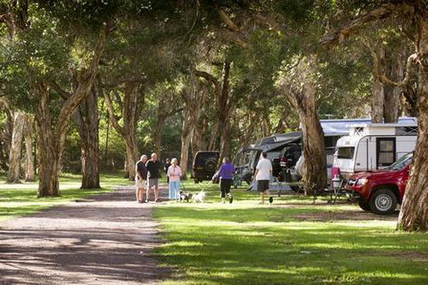 North Coast Holiday Parks Beachfront - Tourism Gold Coast 2