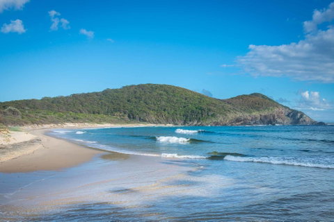 Pacific Palms Resort - Tourism Gold Coast 9