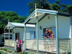 Paradise Palms Carey Bay - Tourism Gold Coast 1