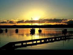 Paradise Palms Carey Bay - Tourism Gold Coast 4
