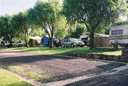 Poplar Caravan Park - Tourism Gold Coast 3