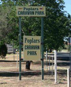 Poplars Caravan Park - Tourism Gold Coast 0