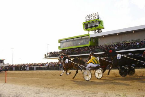 Quality Hotel Tabcorp Park - Tourism Gold Coast 2