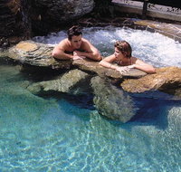 Reef Palms - Tourism Gold Coast